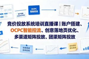 竞价投放系统培训直播课|账户搭建、OCPC智能控流、创意落地页优化、多渠道矩阵投放、团队管理与副业变现全阶实战(更新0709)