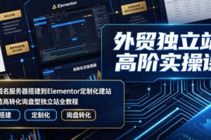 外贸独立站高阶实操课|从域名服务器搭建到Elementor定制化建站,打造高转化询盘型独立站全教程