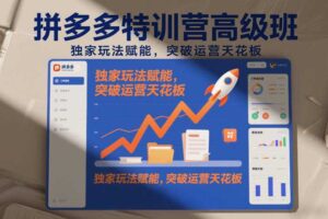 拼多多特训营高阶班,独家玩法赋能,突破运营天花板(更新26年7月11日)