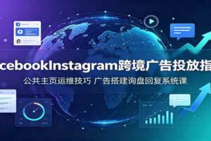 Facebook&Instagram跨境广告投放指南:公共主页运维技巧,广告搭建询盘回复系统课