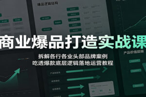 商业爆品打造实战课：拆解各行各业头部品牌案例，吃透爆款底层逻辑落地运营教程