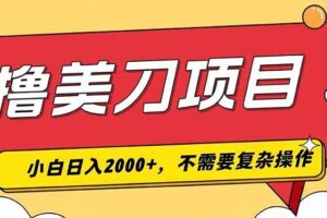 （19493期）撸美刀，单日收入2000+，小白可做