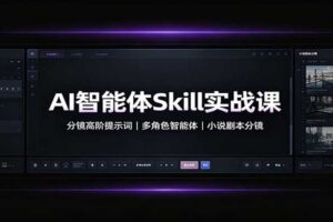 AI智能体Skill实战课：分镜高阶提示词，多角色智能体，小说剧本分镜