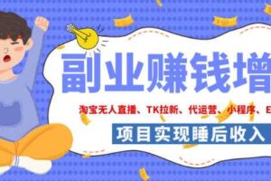 2026年多个真实落地副业项目，手把手带你搭建被动收入管道（淘宝无人直播、海外TK拉新、最新最全代运营、CSGO饰品交易、EA黄金量化、去水印小程序……）【揭秘】