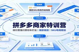拼多多商家特训营:微付费强付费切车打法,爆款链接,SKU布局规划