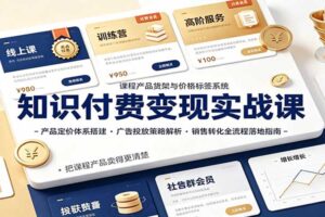 知识付费变现实战课:产品定价体系搭建,广告投放,销售转化全流程落地指南