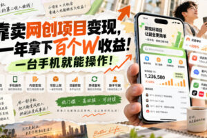 网创小程序虚拟资料变现，一年拿下百万收益，一部手机就可以做，0成本变现副业！