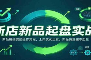 新店新品起盘实战：新品链接完整操作流程，上架优化运营，新品快速破零起量