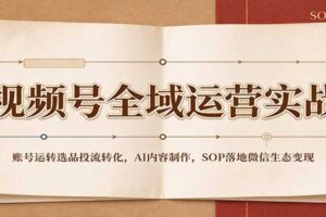 视频号全域运营实战:账号运转选品投流转化,AI内容制作,SOP落地微信生态变现
