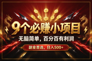 (20810期)9个必赚的小项目,无脑简单,百分百赚米的,副业首选,日收500+