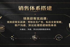 领英获客实战课:零粉丝无广告,私信全套策略,客户沟通、异议处理搭建销售体系