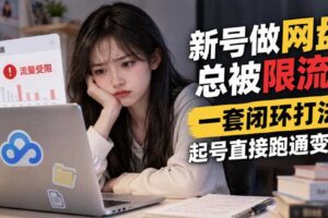 新号做网盘总被限流？一套闭环打法，起号直接跑通变现