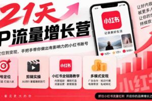 21天IP流量增长营，小红书全链路教学，账号定位剪辑实操，多模式变现系统课