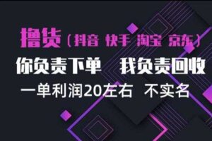 抖音淘宝快手买手项目，一单利润20左右，单号每天下三单，可矩阵【揭秘】
