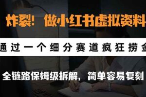 （21206期）炸裂！做小红书虚拟资料，通过一个细分赛道疯狂捞金，全链路保姆级拆解，简单容易复刻