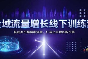 全域流量增长线下训练营:低成本引爆精准流量,打造企业增长新引擎
