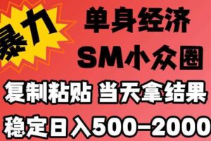 2026最新小众情感赛道,手机操作,十分钟见收益,小白也能当天上手,全程复制粘贴模板即可,稳定日入500-1k,不缺流量,可矩阵批量操作,门槛低【揭秘】