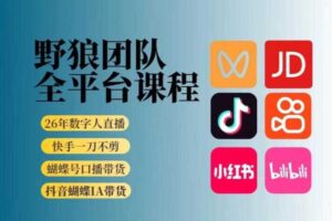 野狼团队2026新版全平台短视频带货教学,打开流量突破口,开始Ai带货(更新1029)