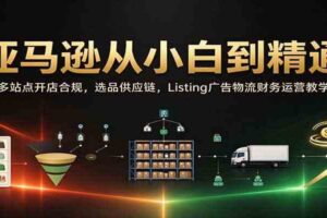 亚马逊从小白到精通:多站点开店合规,选品供应链,Listing广告物流财务运营教学