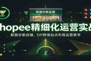 Shopee精细化运营实战：数据诊断店铺，SIP跨境站点布局运营教学【进阶】