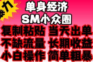 2026最新单身情感经济赛道,全程复制粘贴模板即可,当天出单,稳定日入500-1k,不缺流量,可批量矩阵,手机即可操作!【揭秘】